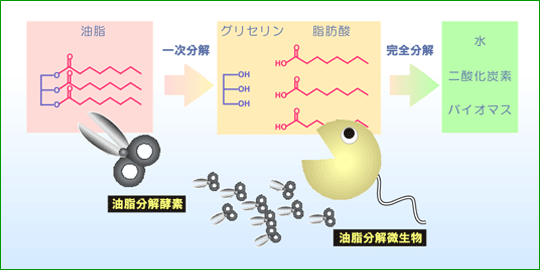 図1